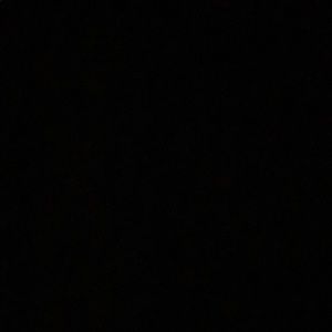 Meet your Posher, Savannah